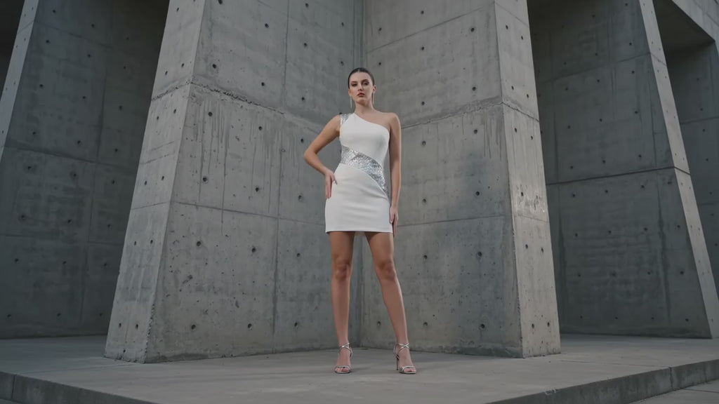 Silver Eagle Zana Dress - Meeami Fashion